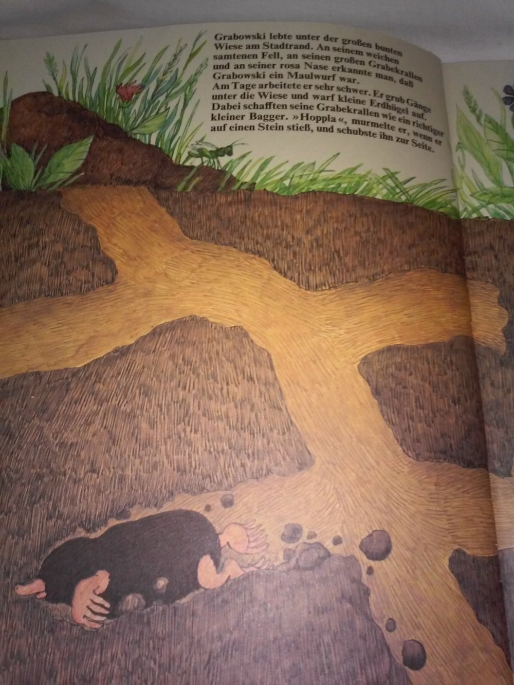 Luis Murschetz: Der Maulwurf Grabowski - Kinderbuch alt