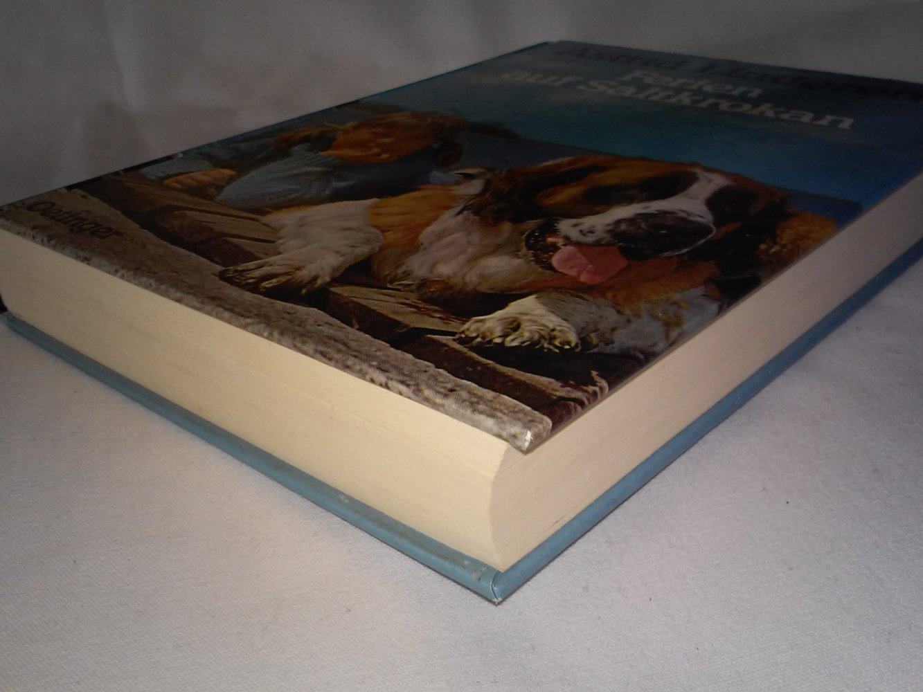 Astrid Lindgren: Ferien auf Saltkrokan -Kinderbuch alt