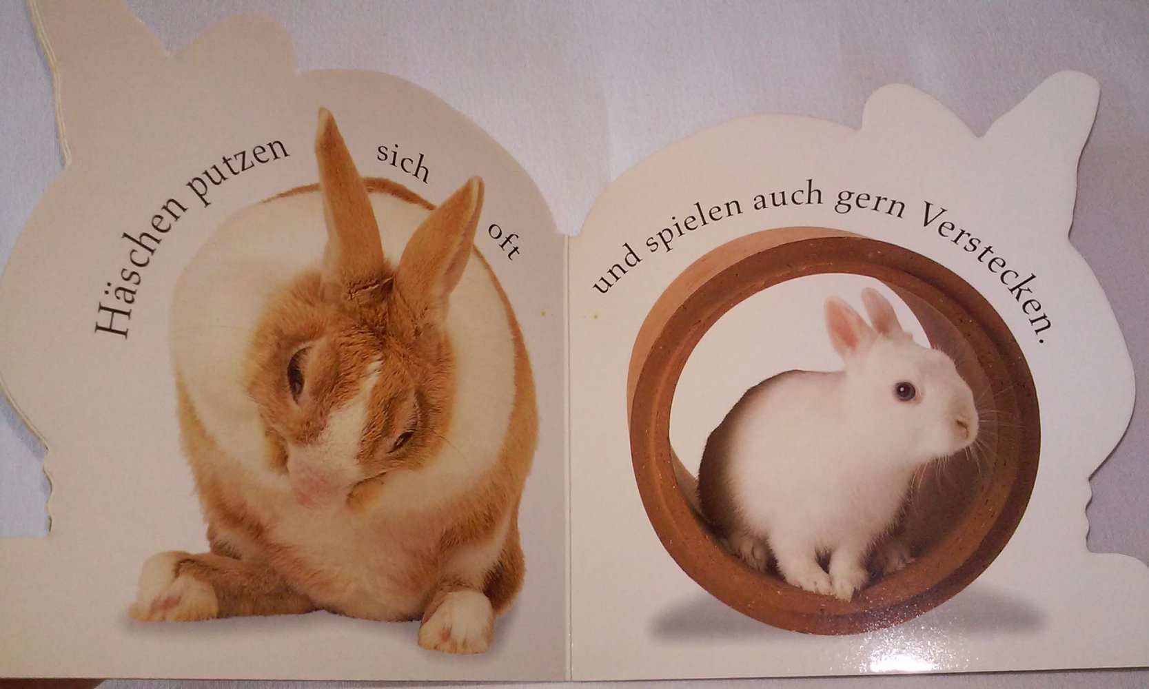 Ostern im Spielzeugland; Häschen Formbuch Pappbilderbuch
