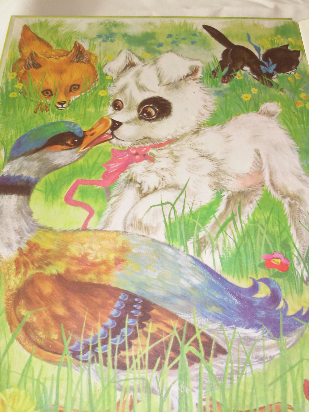 Coras Erlebnis im Tierpark  altes Kinderbuch