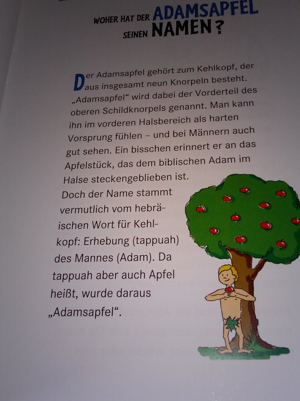 Kinder Brockhaus, Wo ist das Meer bei Ebbe?