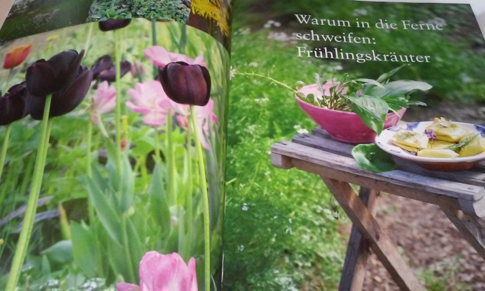 Neu! Landleben einfach geniessen - Köstlich Kochen mit Kräutern  Geschenktipp