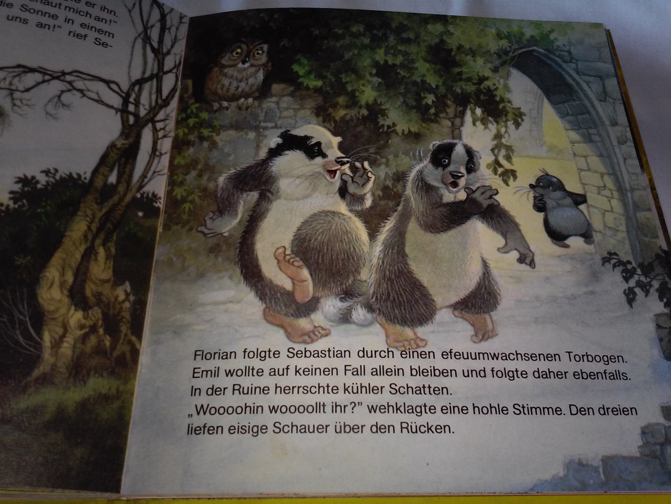 Lucy Kincaid: Lustige Waldabenteuer im Eschengrund: Bd. 2 - Kinderbuch alt