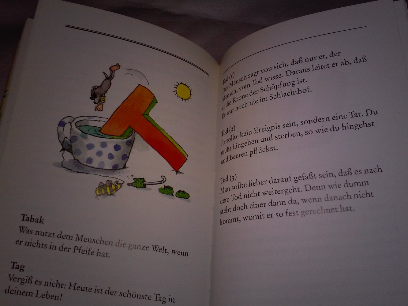 Janosch Wörterbuch der Lebenskunst - Griffe 1.Alg.