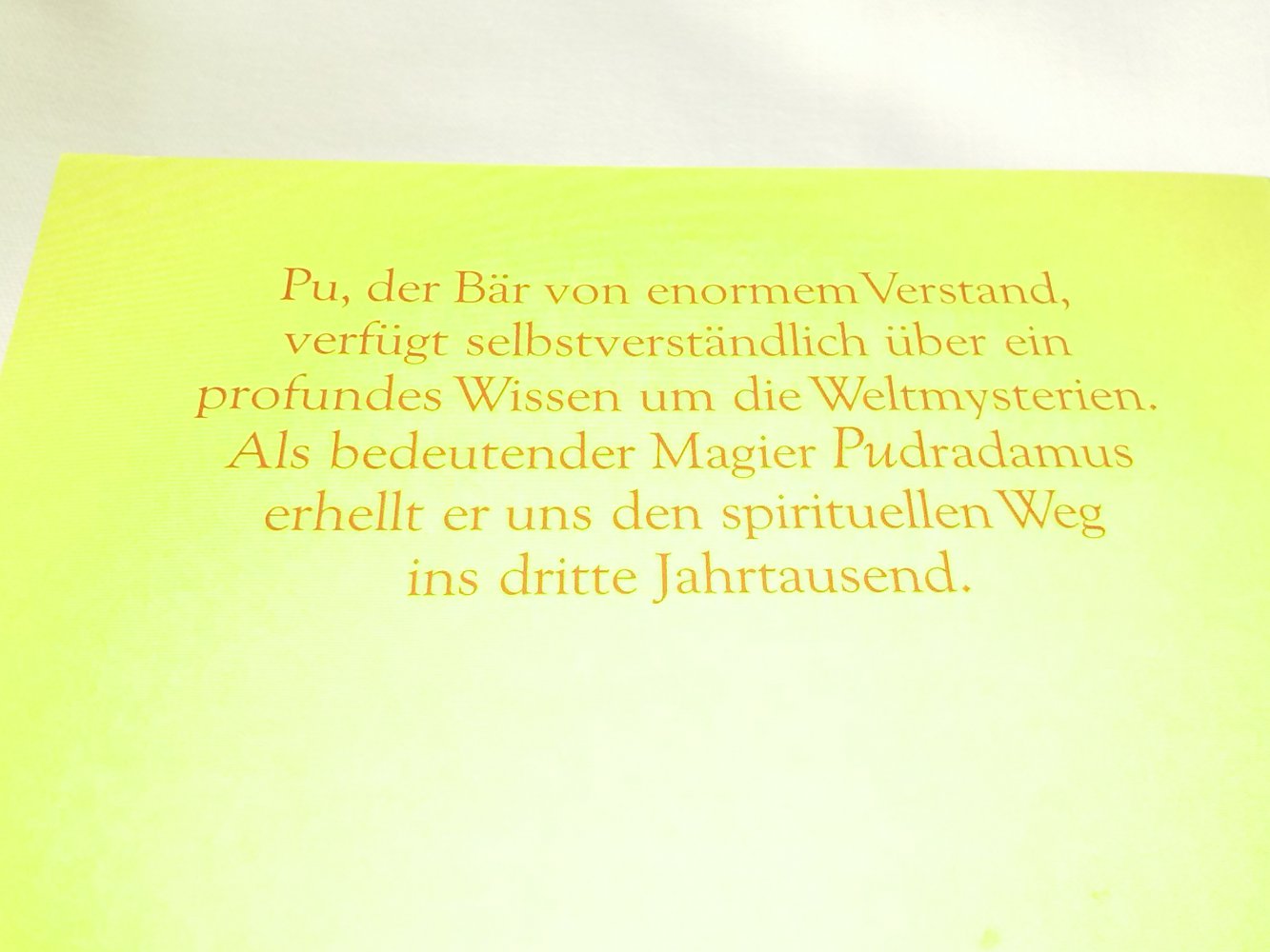 Die Prophezeiungen des Pudradamus
