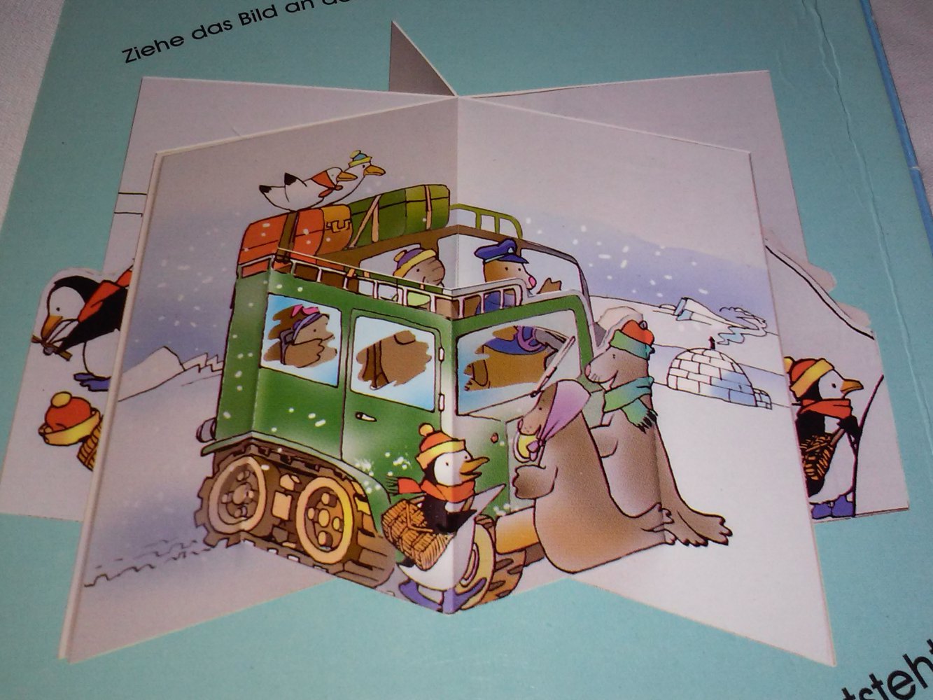 Ein Pinguin am Nordpol - Ein dreidimensionales Verwandlungsbuch Pappbilderbuch/Kleinkind