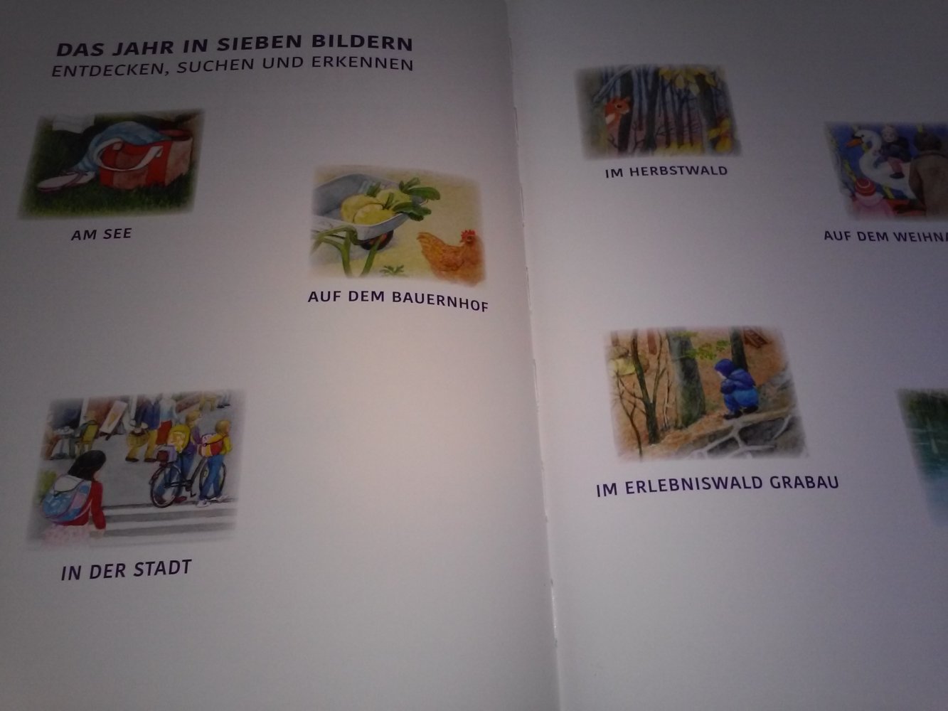  Neu! Dorothea Desmarowitz: Stormarn Bilderbuch