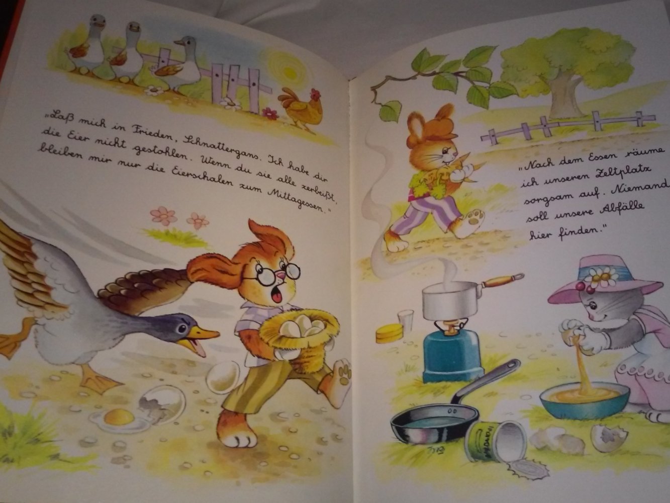  M.Rainaud/I.Flemes: (Hase) Tucki im Zelt -Kinderbuch alt