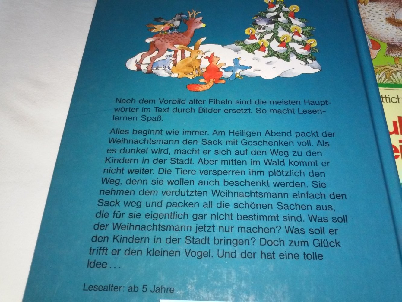 Margret Rettich: RiRaRutsch- Lesebilderbücher -Weihnachtsmann, Gespenst