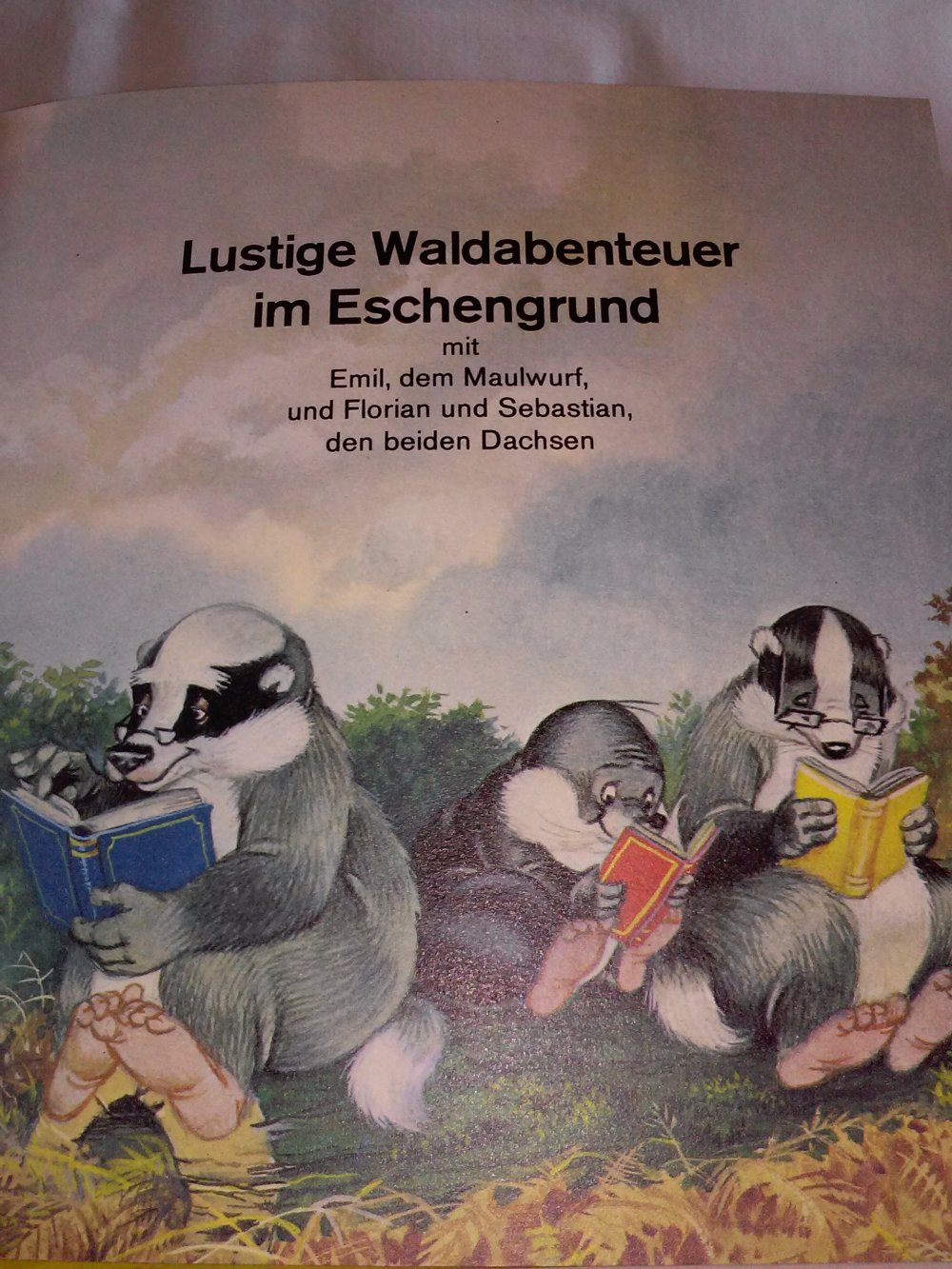 Lucy Kincaid: Lustige Waldabenteuer im Eschengrund: Bd. 2 - Kinderbuch alt