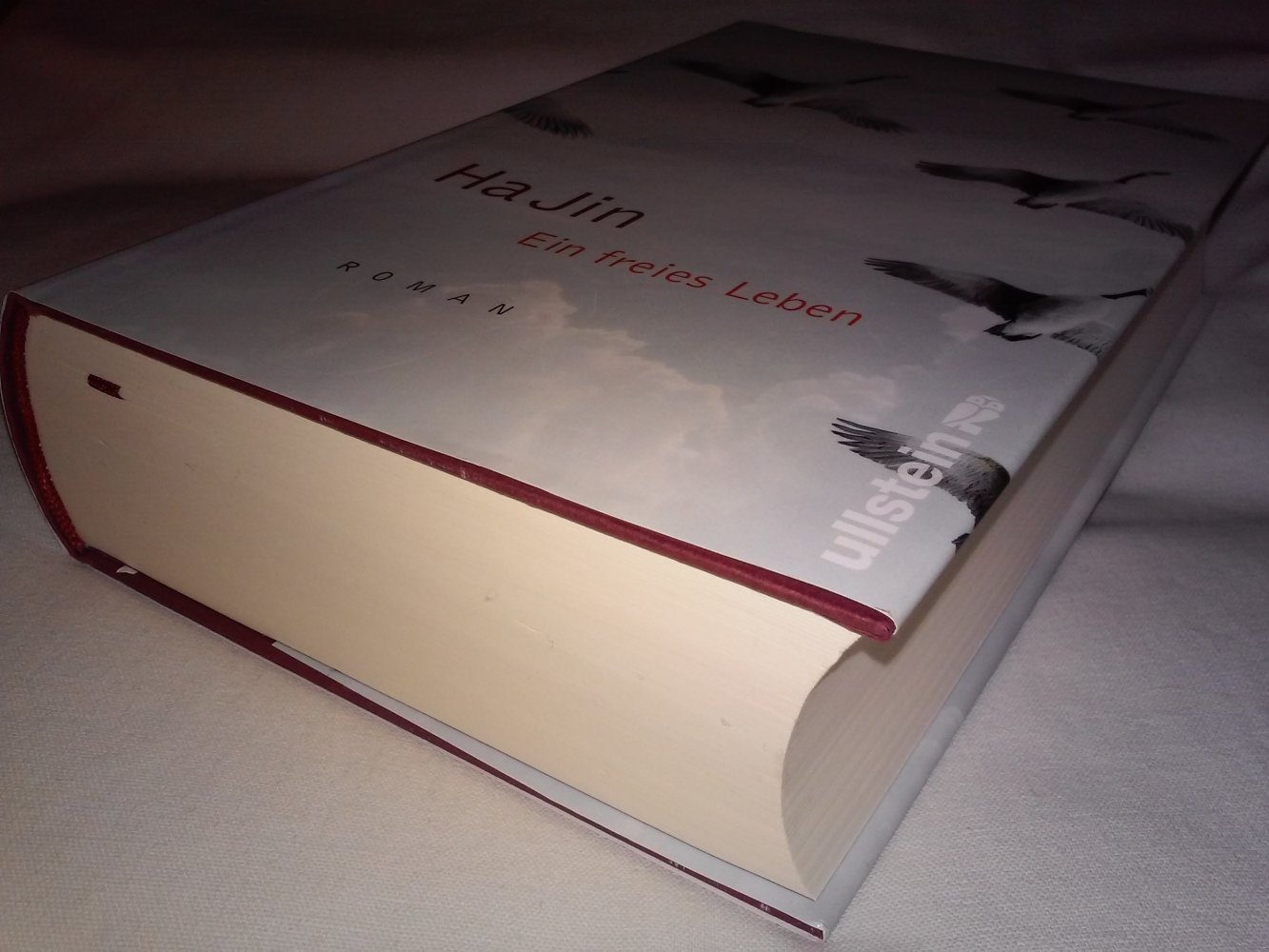 Ha Jin: Ein freies Leben (Gegenwartsliteratur) Geschenktipp