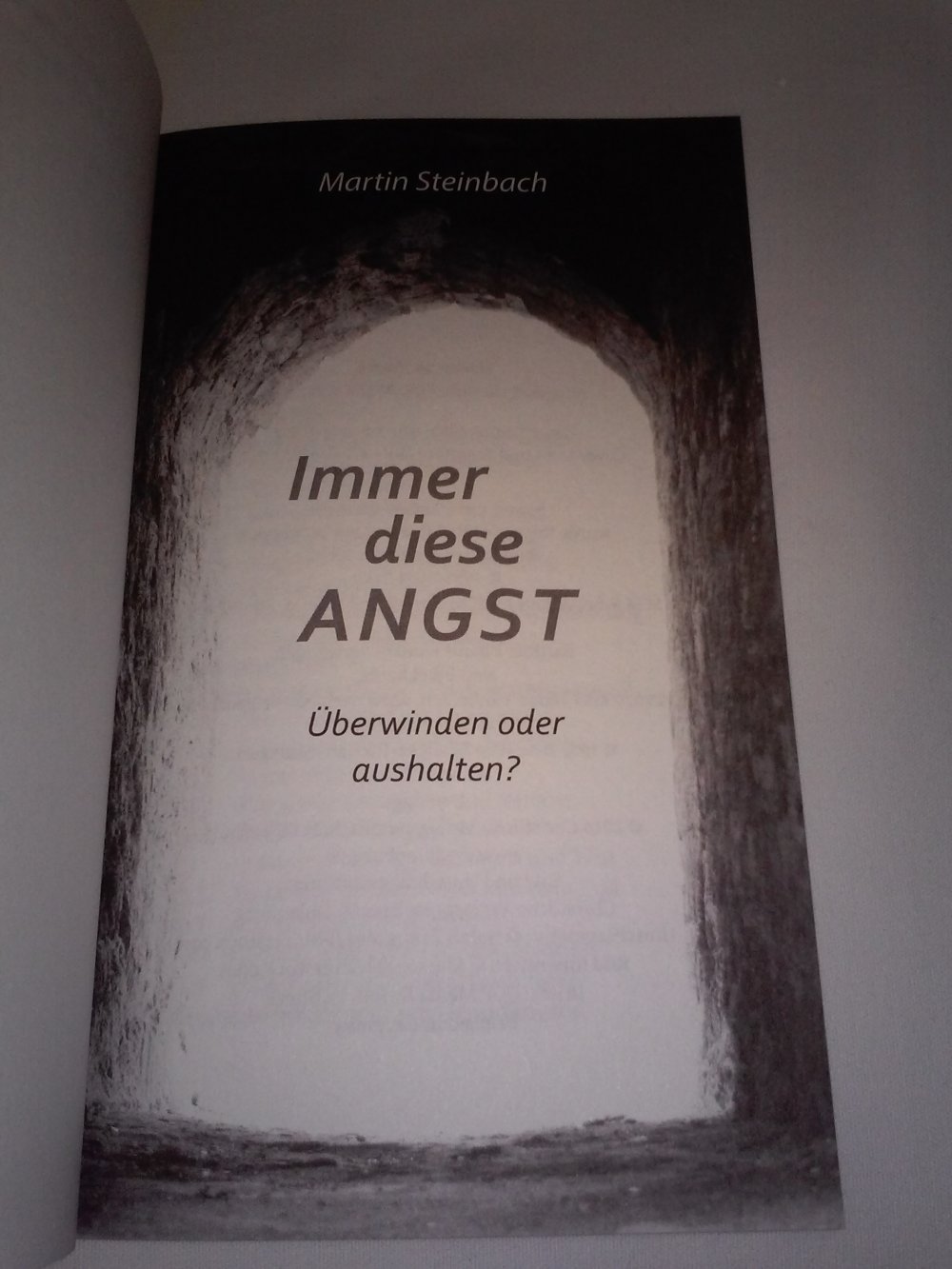 Martin Steinbach: Immer diese Angst: Überwinden oder aushalten?