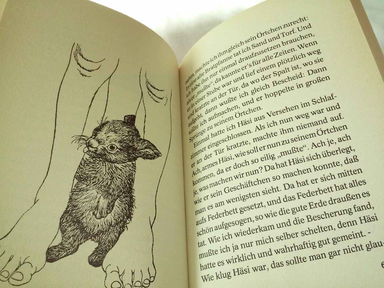Alma de L'Aigle´s - Häsi - altes Kinderbuch 1957 