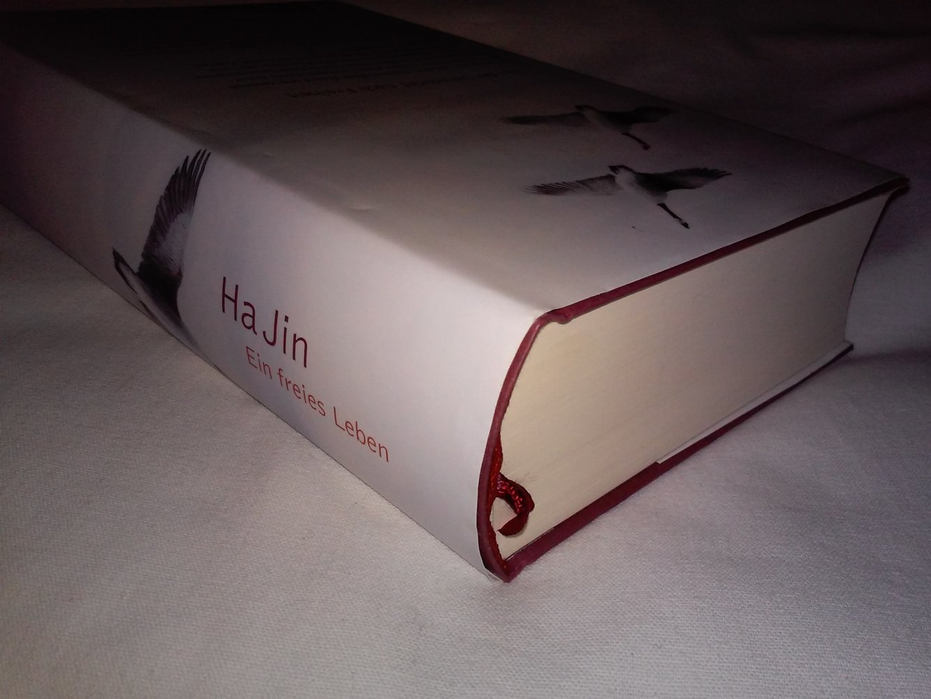Ha Jin: Ein freies Leben (Gegenwartsliteratur) Geschenktipp