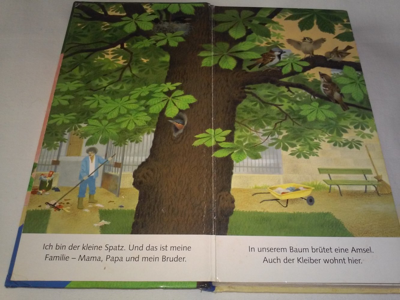 Gerda Müller: Ich bin der kleine Spatz - (Papp-)Kinderbuch alt