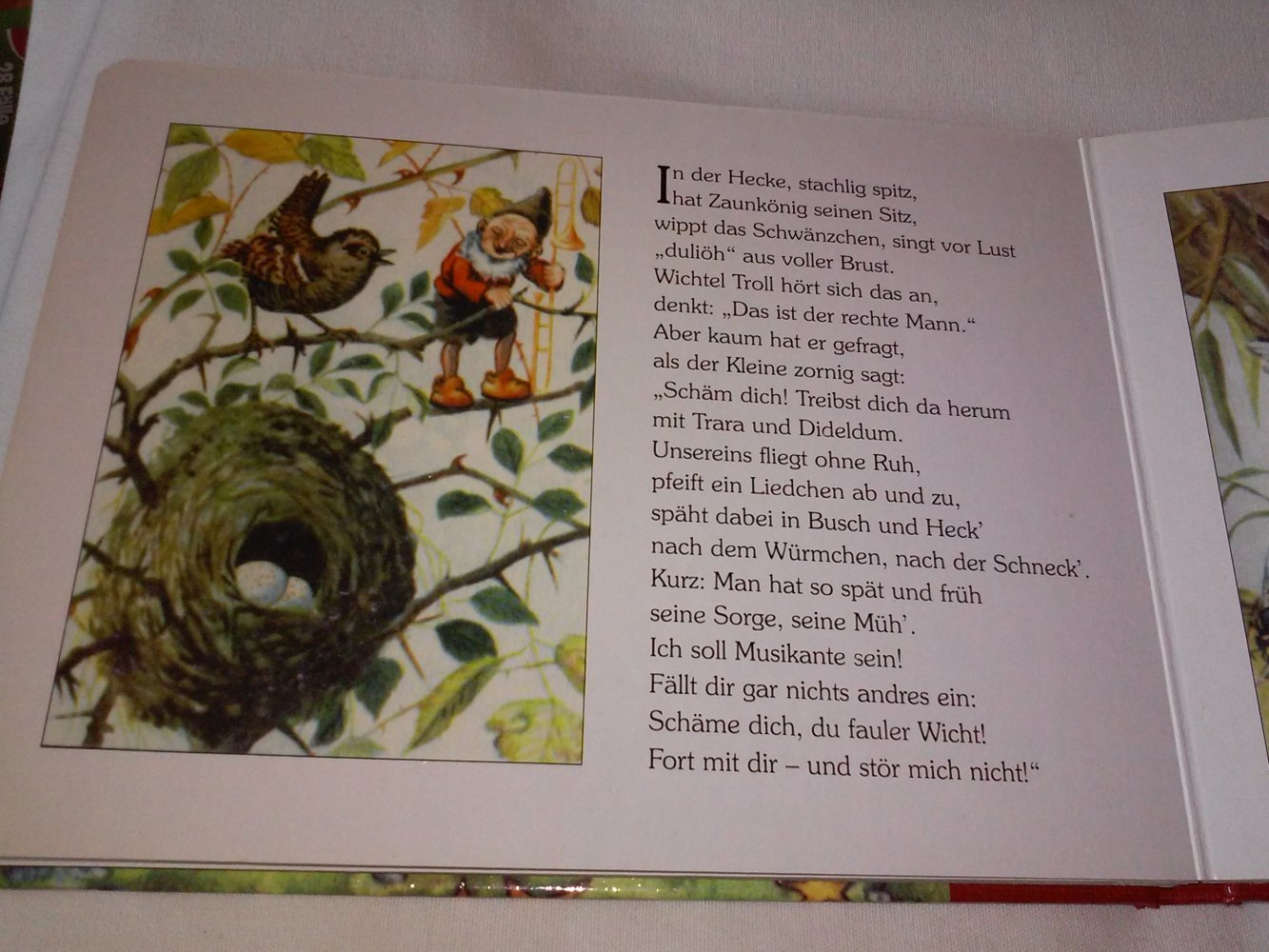 Lore Hummel: Geschichten aus dem Regenbogenland -Trollen u Wichteln