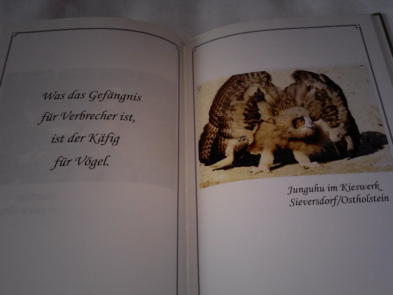 Wandhoff ´s Geschenk für Menschen, die den Kopf nicht nur zum Haare schneiden haben