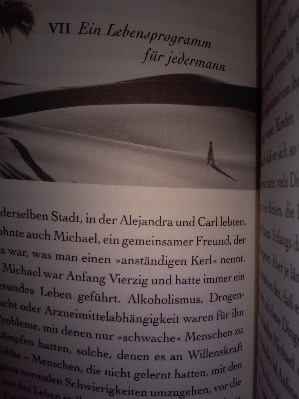 Neu! Die Rose von Jericho - Ratgeber Geschenktipp -