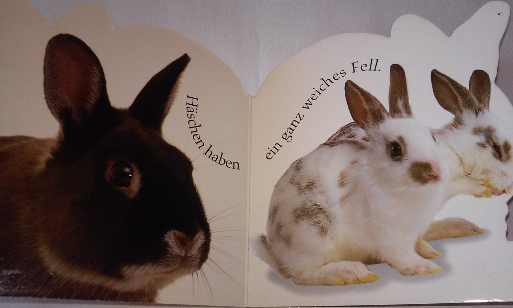 Ostern im Spielzeugland; Häschen Formbuch Pappbilderbuch