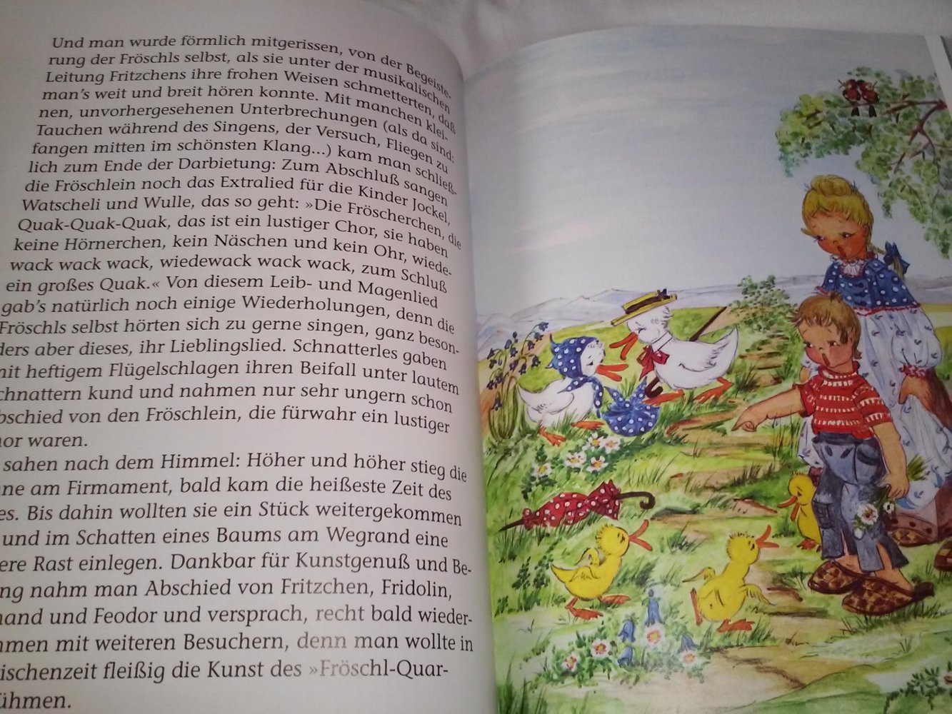 Die lustige Entenfamilie und die Abenteuer der Familie Igel 