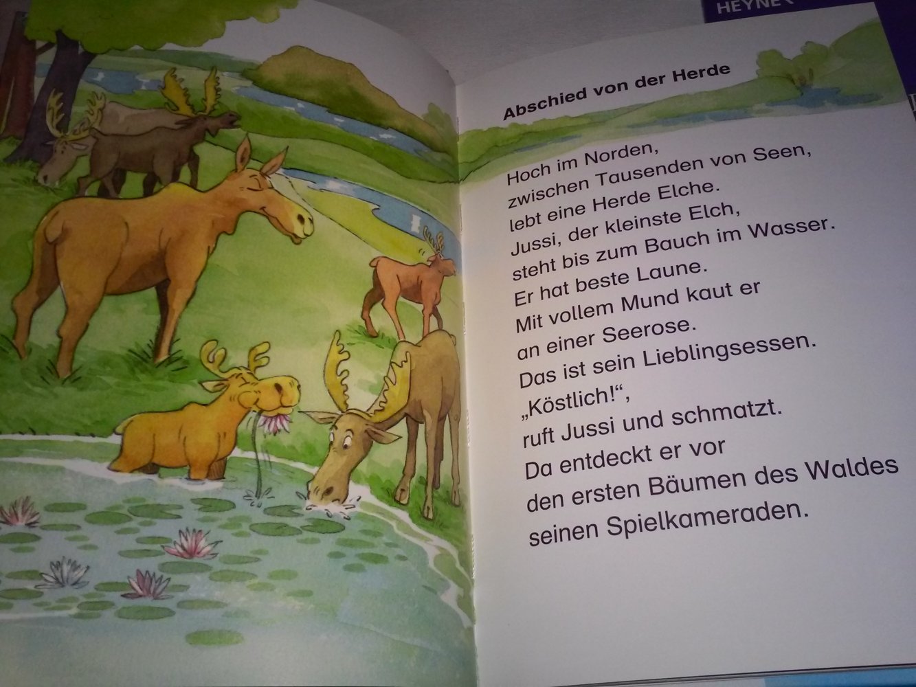 Neu!Der klügste Elch der Welt / Olaf, der Elch: Eine Weihnachtsgeschichte 