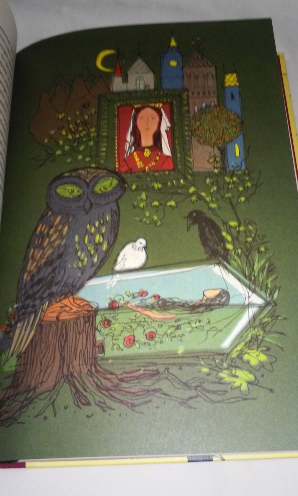 Grimms Märchen 1 - Illustriert von Gerhard Oberländer Märchen- Klassiker Geschenktipp