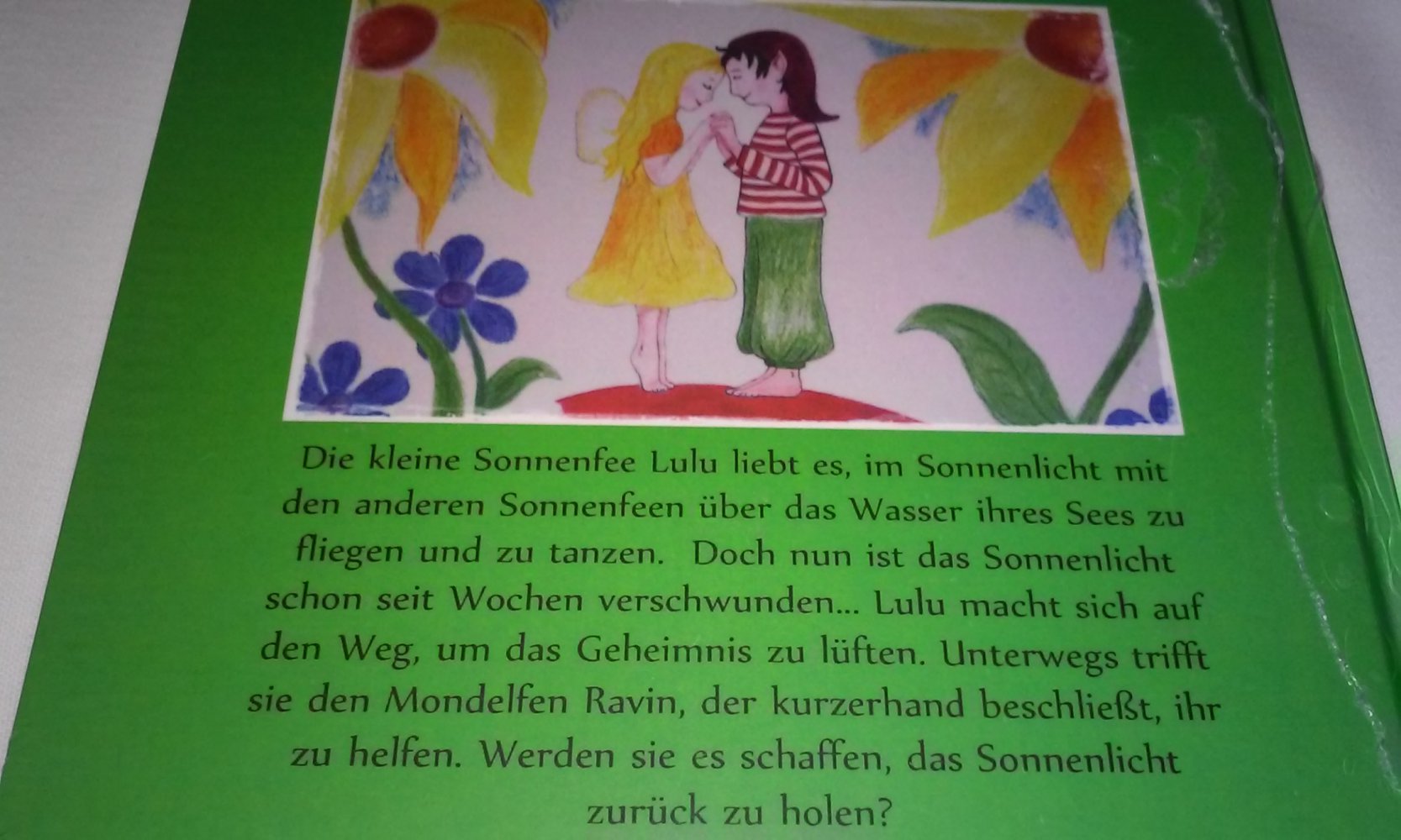 Neu! Lulu und Ravin: Die Suche nach dem Sonnenlicht Kinderbuch OVP  Geschenktipp