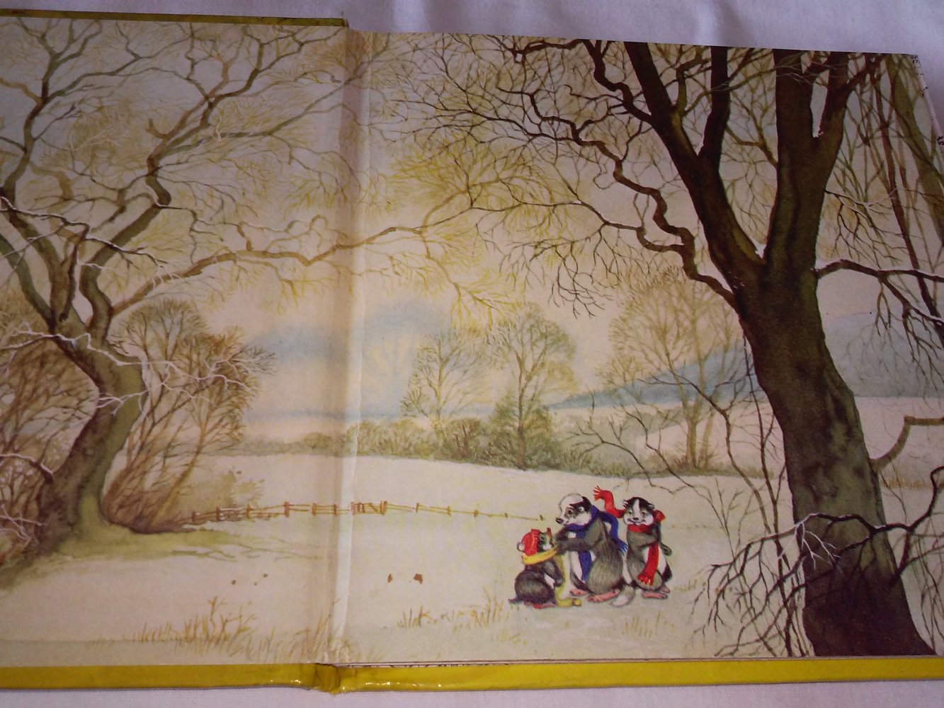 Lucy Kincaid: Lustige Waldabenteuer im Eschengrund: Bd. 2 - Kinderbuch alt