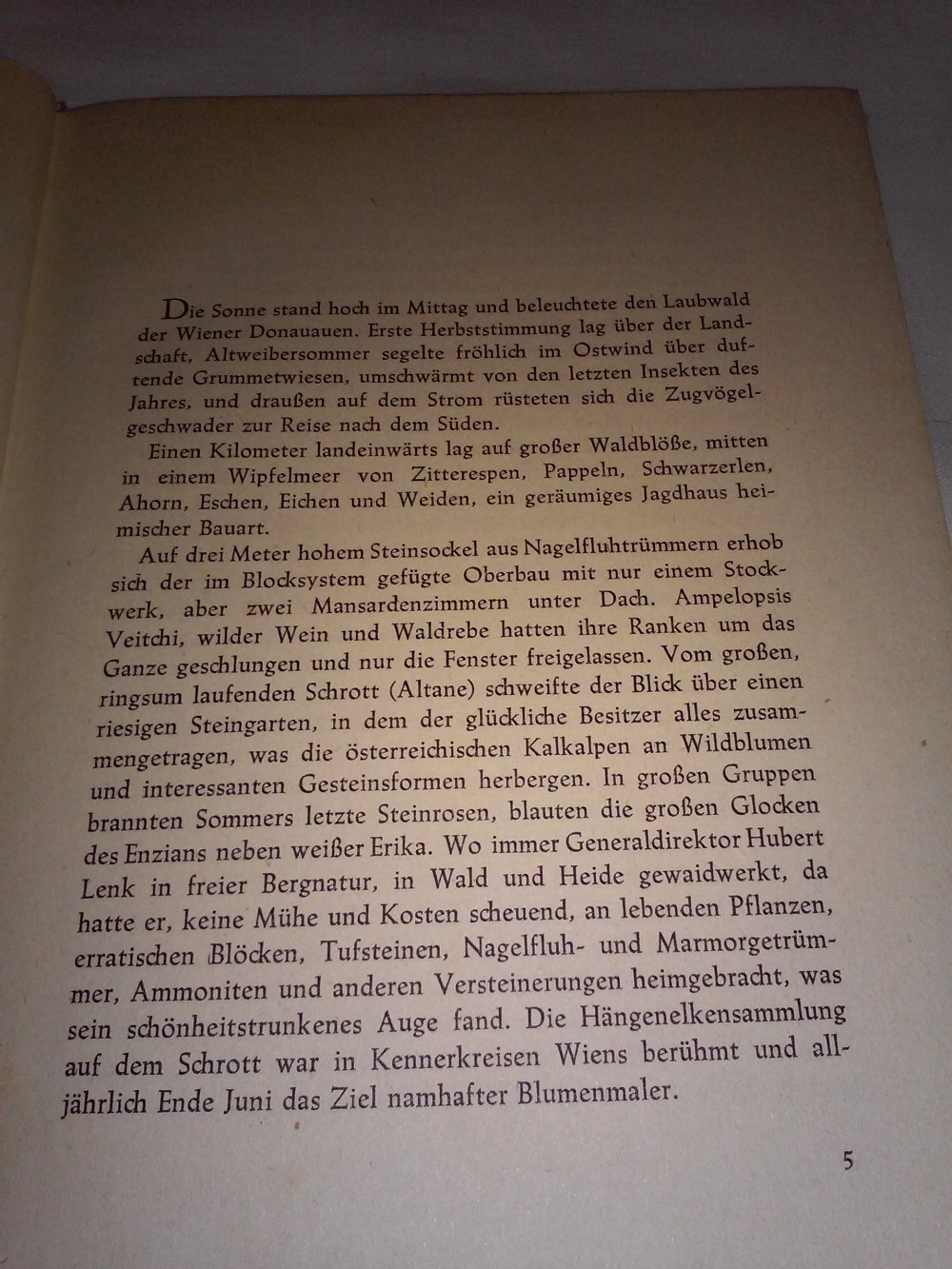 Der Muschel Ruf  -Kriminalroman aus dem Wienerwald- 1952