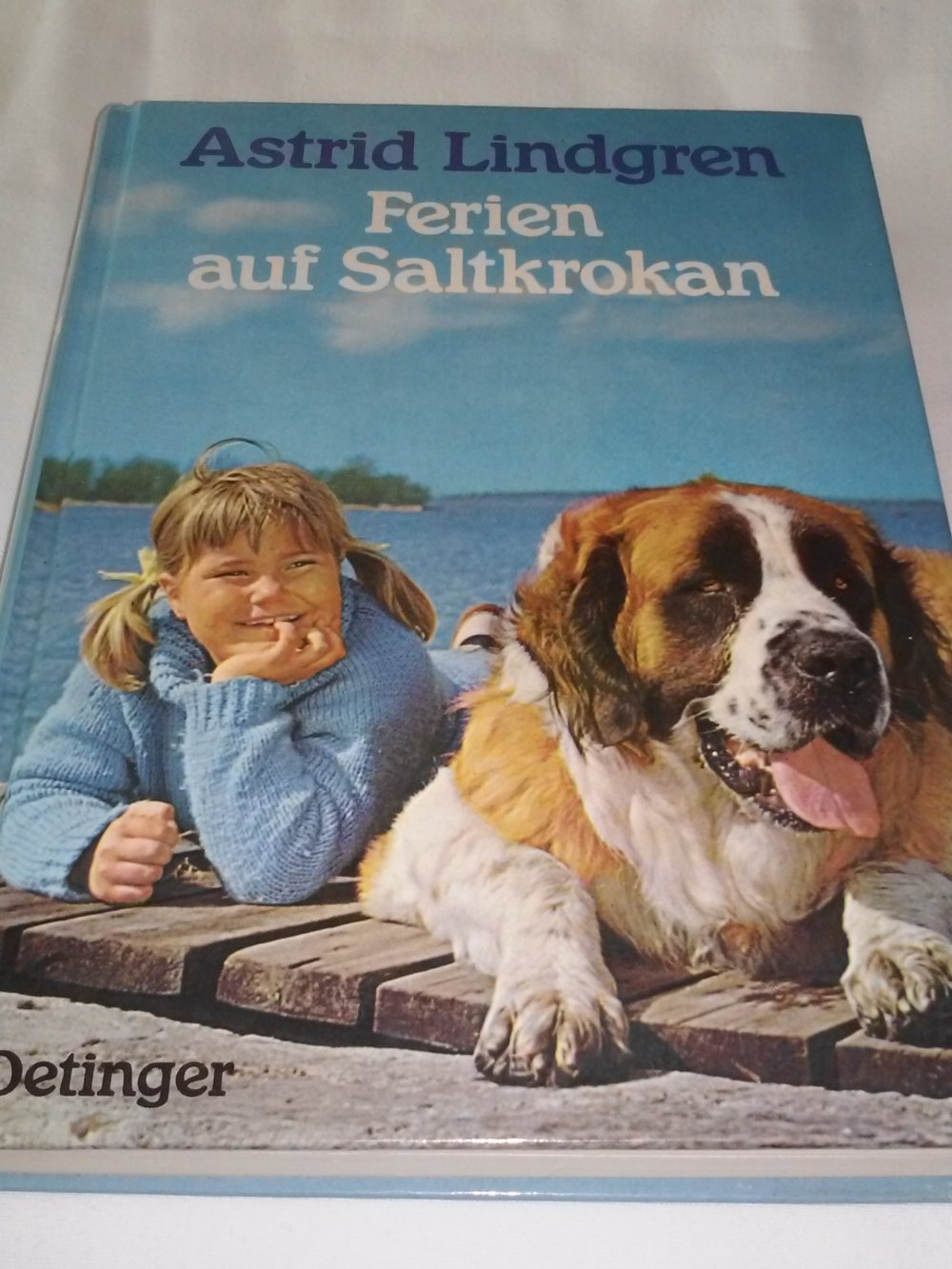 Astrid Lindgren: Ferien auf Saltkrokan -Kinderbuch alt