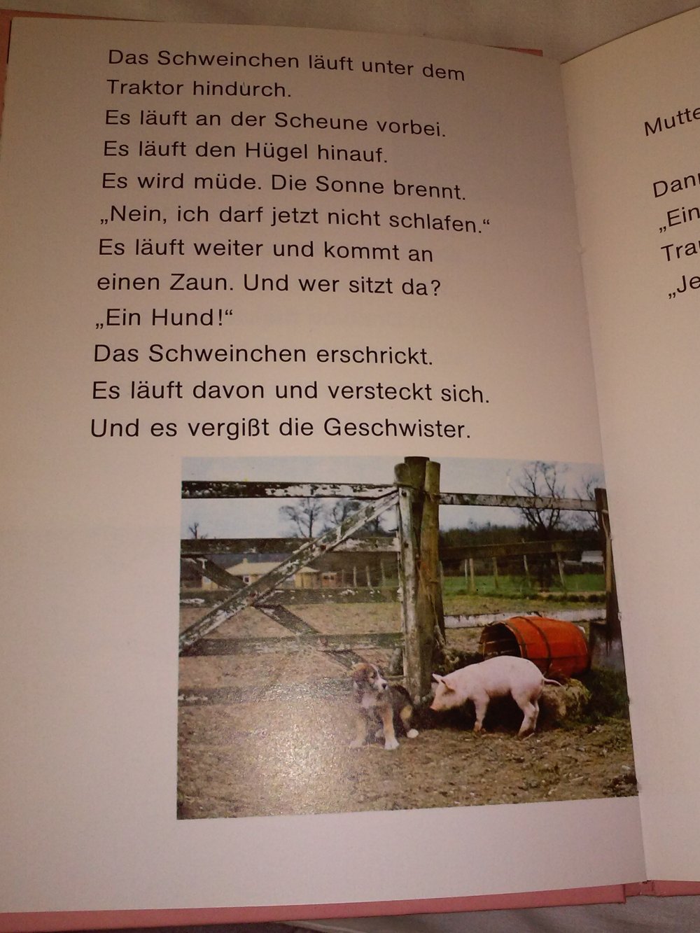 Helen Piers: Fünf kleine Schweinchen - Kinderbuch alt - Rarität