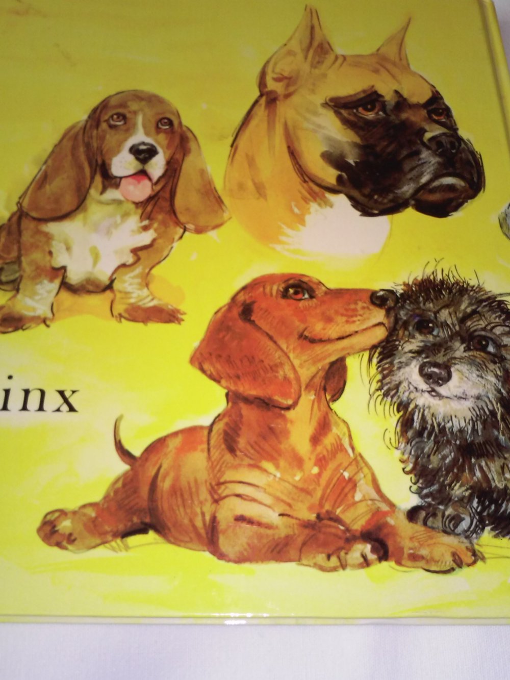 Auf Du und Du. Das Buch für Hundefreunde
