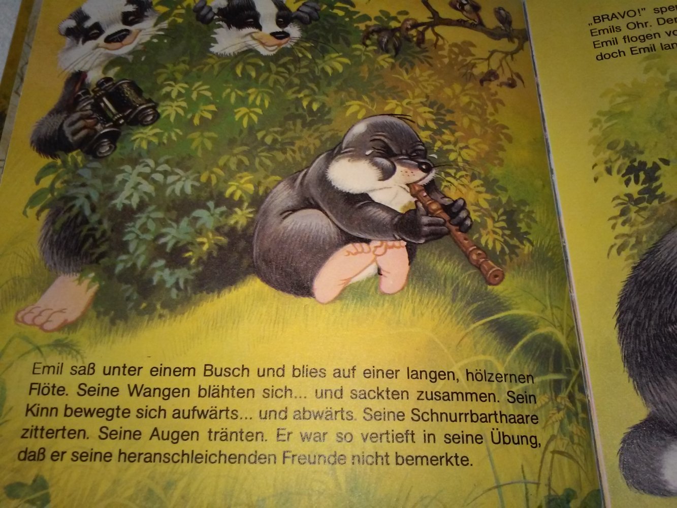Lucy Kincaid: Lustige Waldabenteuer im Eschengrund: Bd. 2 - Kinderbuch alt