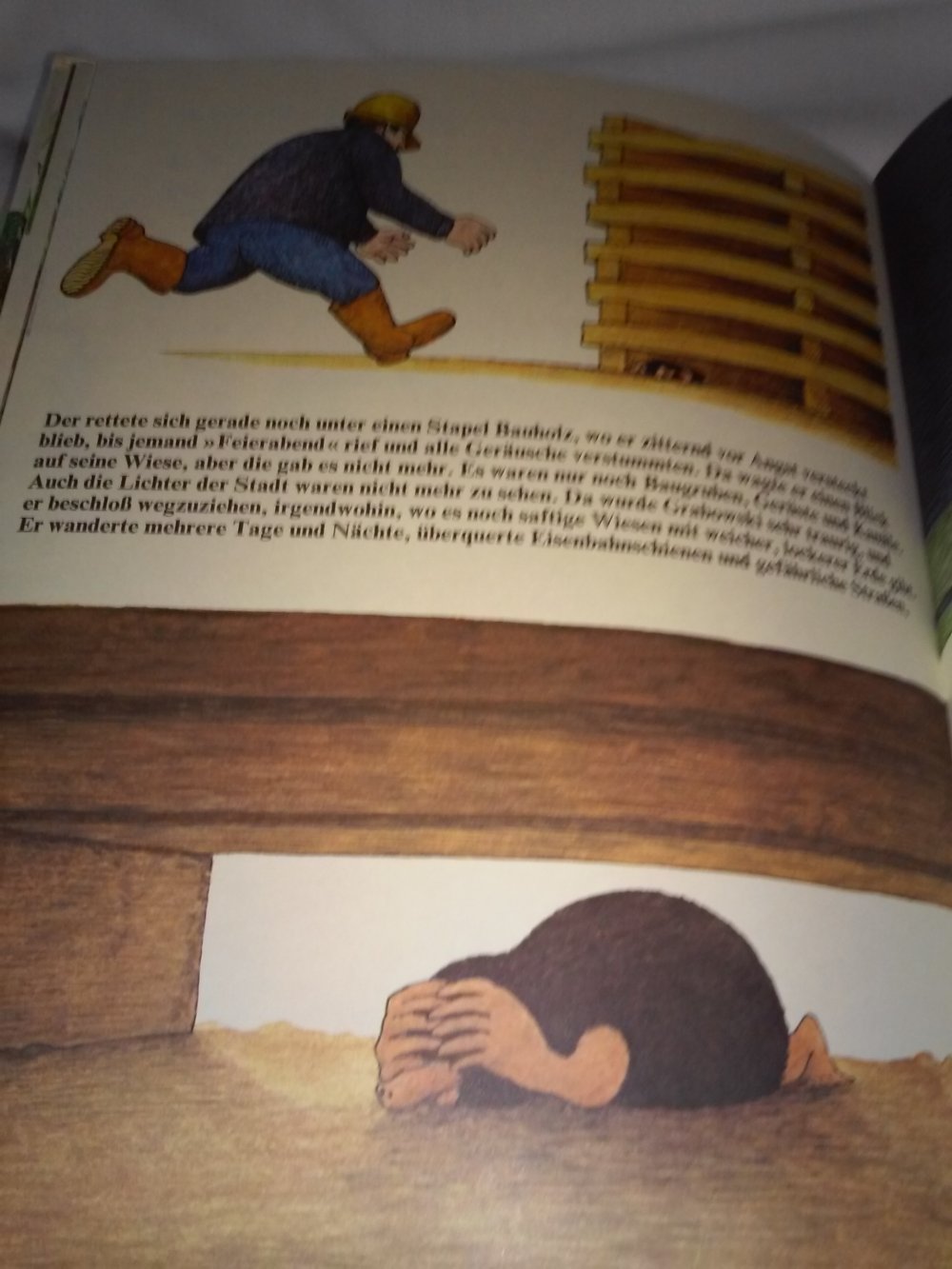 Luis Murschetz: Der Maulwurf Grabowski - Kinderbuch alt