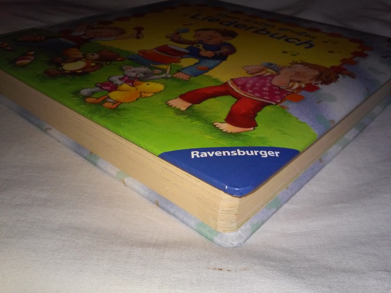 ministeps - Mein erstes großes Liederbuch - an 12 Lm.