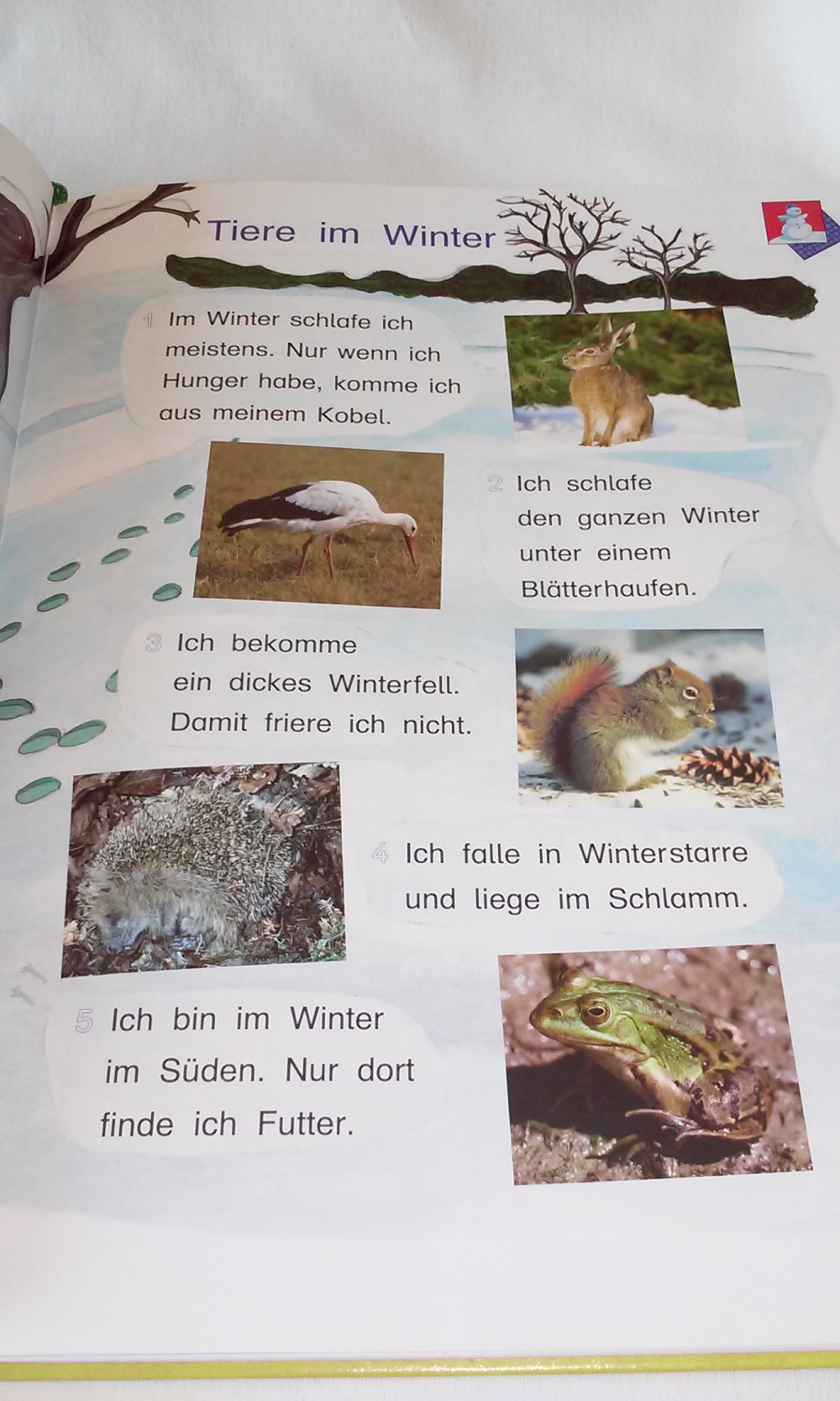 Tinto 1 - Grün 1. Schuljahr - Erstlesebuch Kindebuch Geschenktipp