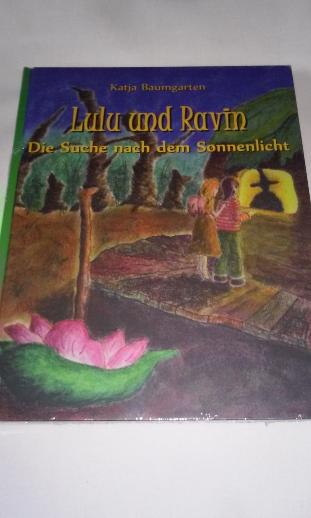 Neu! Lulu und Ravin: Die Suche nach dem Sonnenlicht Kinderbuch OVP  Geschenktipp