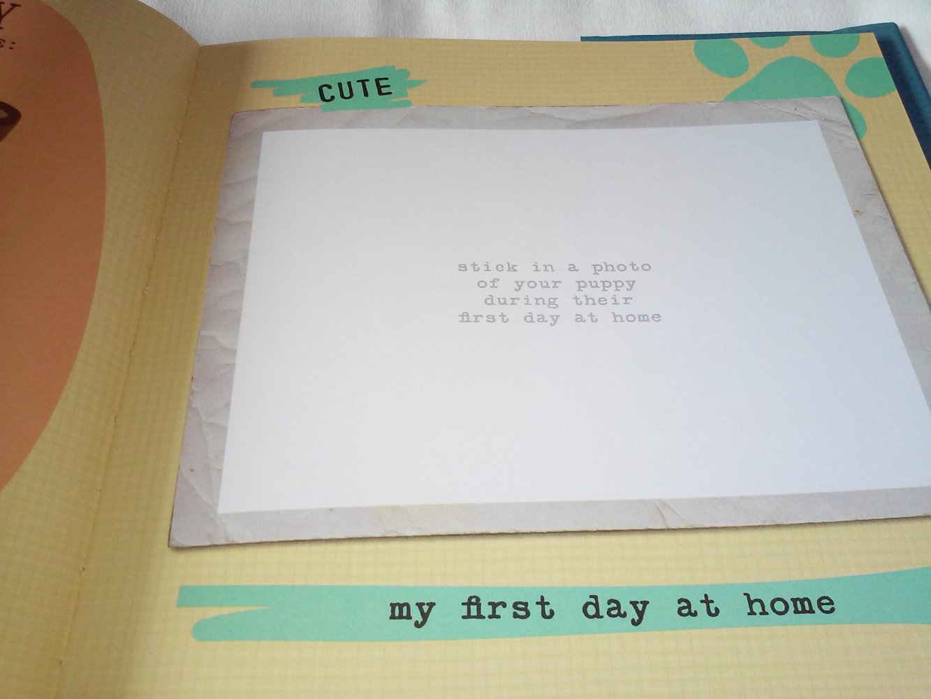 Neu! Tagebuch/Album Hund Puppy's 1st Year (engl.) Geschenktipp