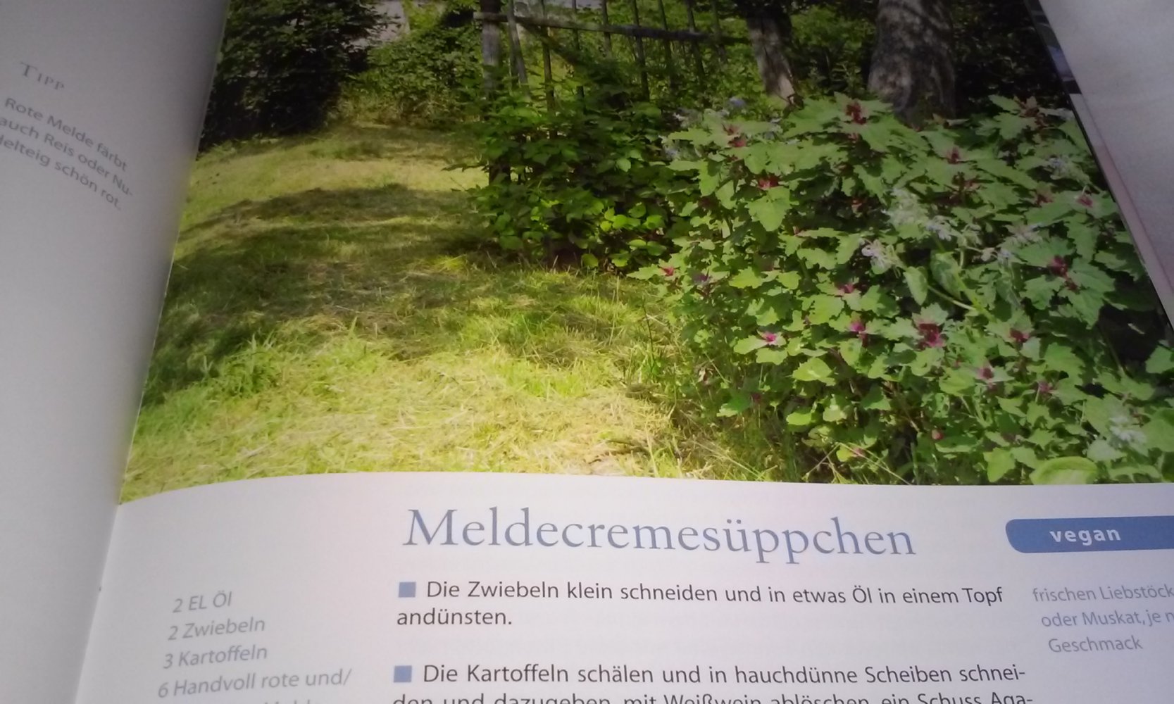 Neu! Landleben einfach geniessen - Köstlich Kochen mit Kräutern  Geschenktipp