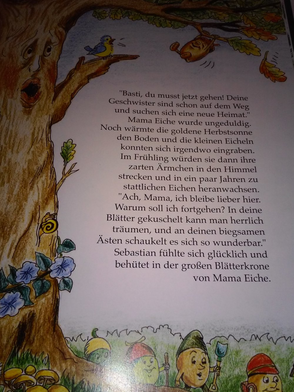 Die Weihnachtseiche