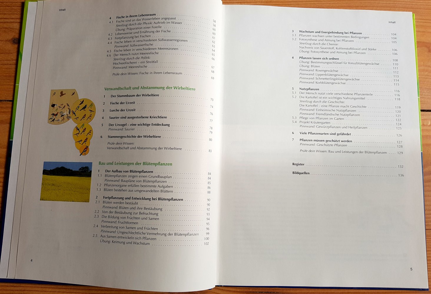 Netzwerk 6 Biologie