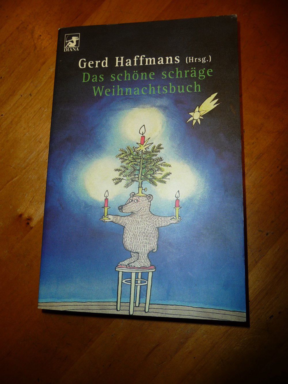Das schöne schräge Weihnachtsbuch