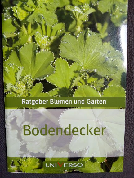 Universo Ratgeber Blumen und Garten Bodendecker 