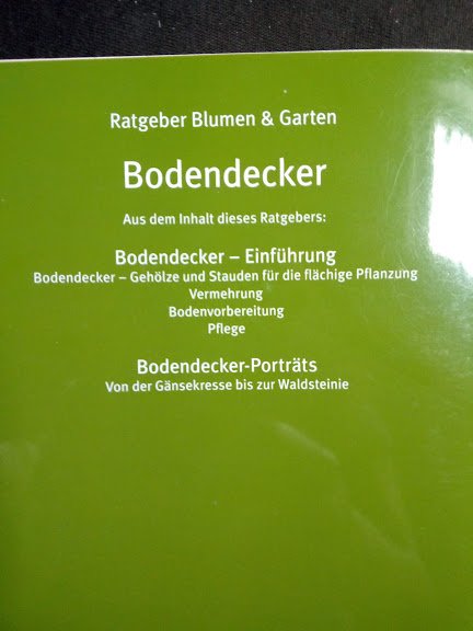 Universo Ratgeber Blumen und Garten Bodendecker 