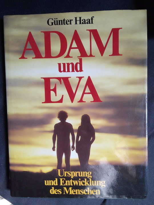 Adam und Eva  Ursprung und Entwicklung des Menschen
