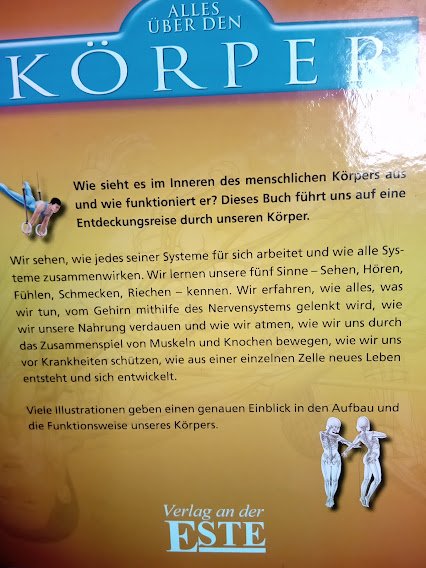 Kinderbuch Alles über den Körper