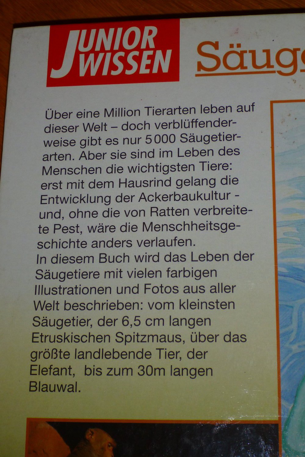 Buch: Säugetiere