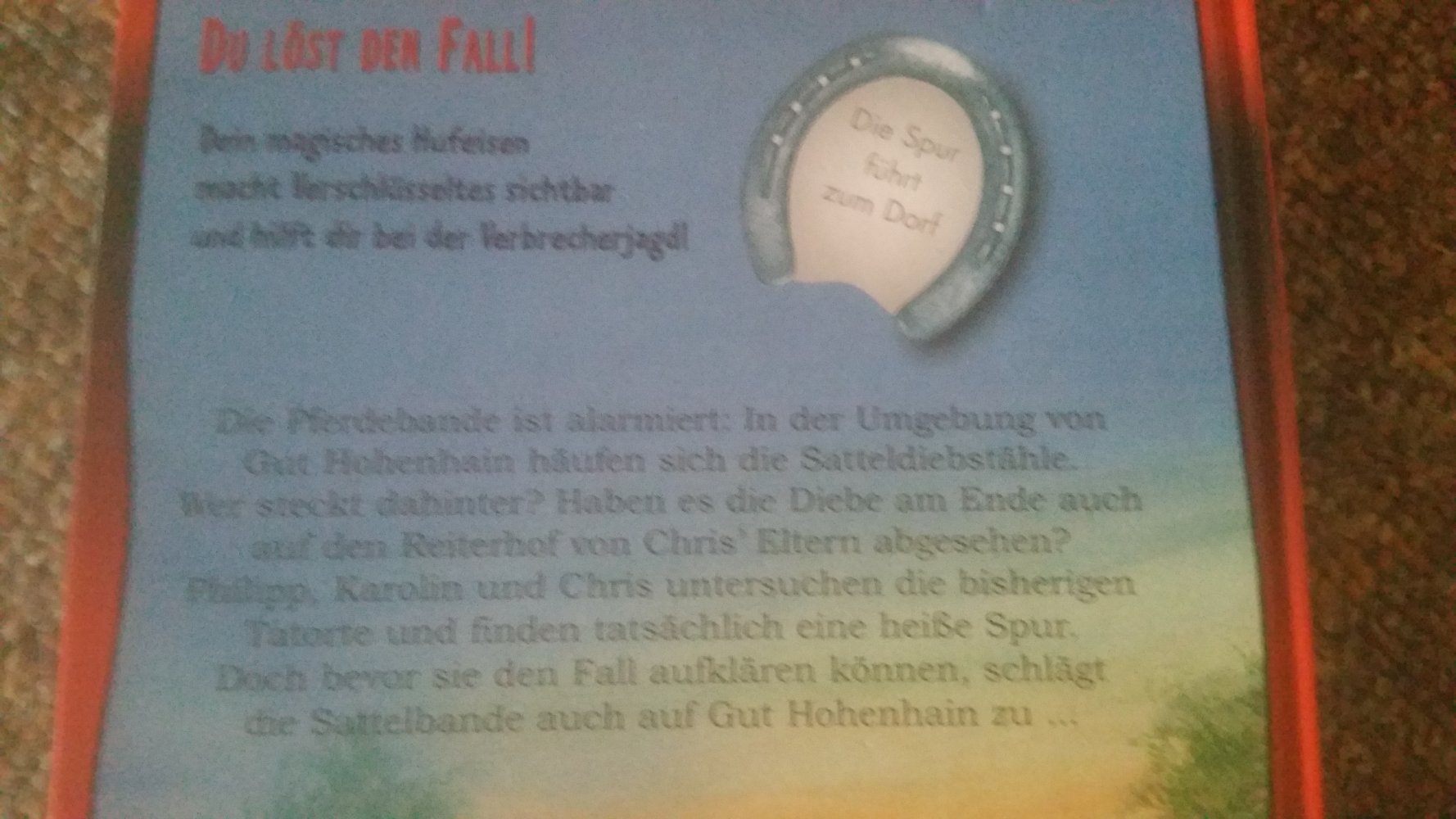 Die Pferdebande und die Jagd auf die Satteldiebe