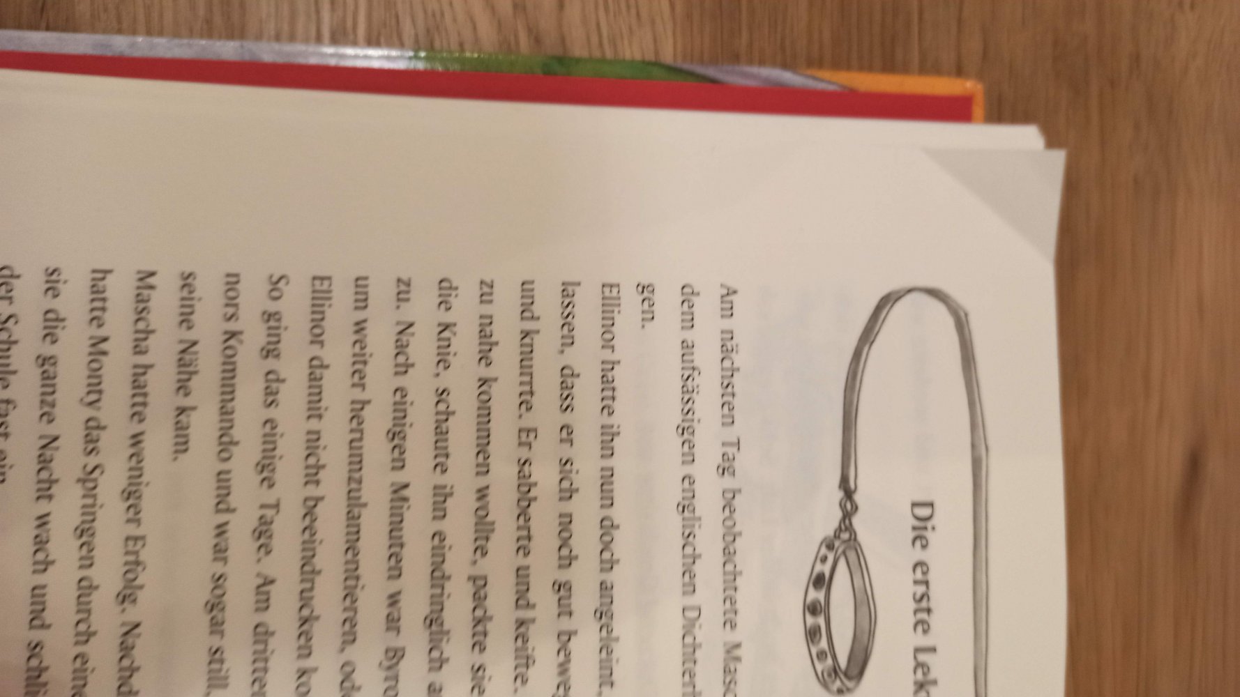 Große Klasse, kleiner Hund, ab 10 Jahre