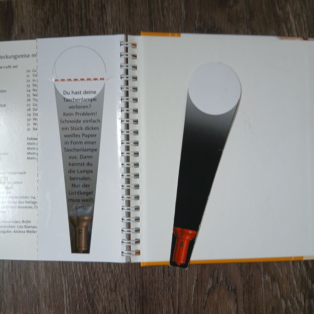 Licht an! Taschenlampenbuch Babys und Tierkinder